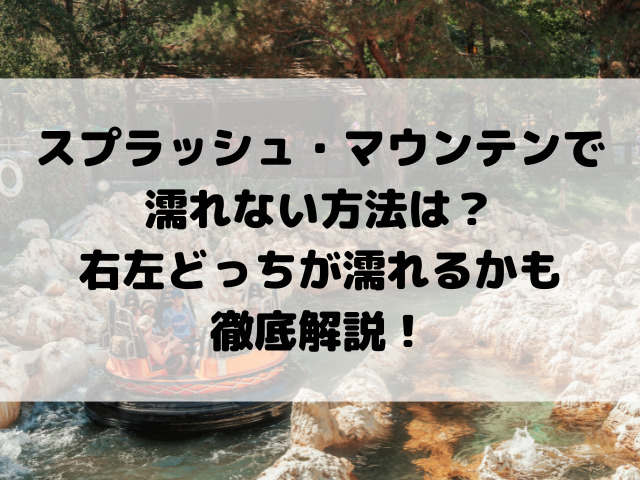 スプラッシュ・マウンテンで濡れない方法は？右左どっちが濡れるかも徹底解説！