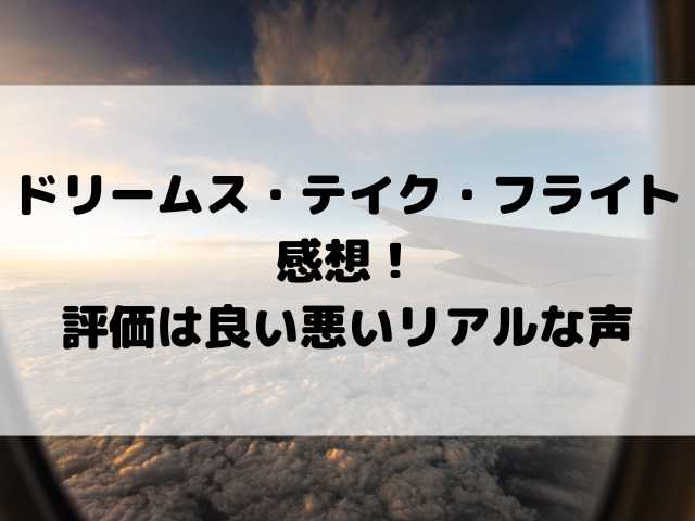 ドリームス・テイク・フライト感想！評価は良い悪いリアルな声をご紹介